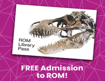 ROM passes