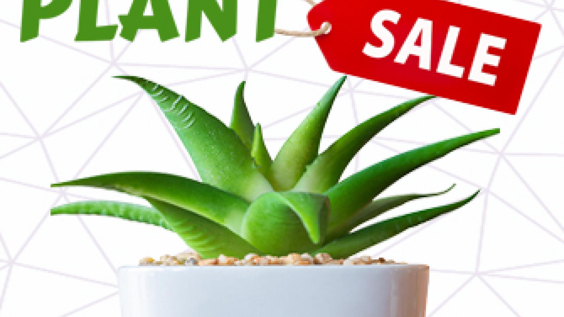 Plant Sale