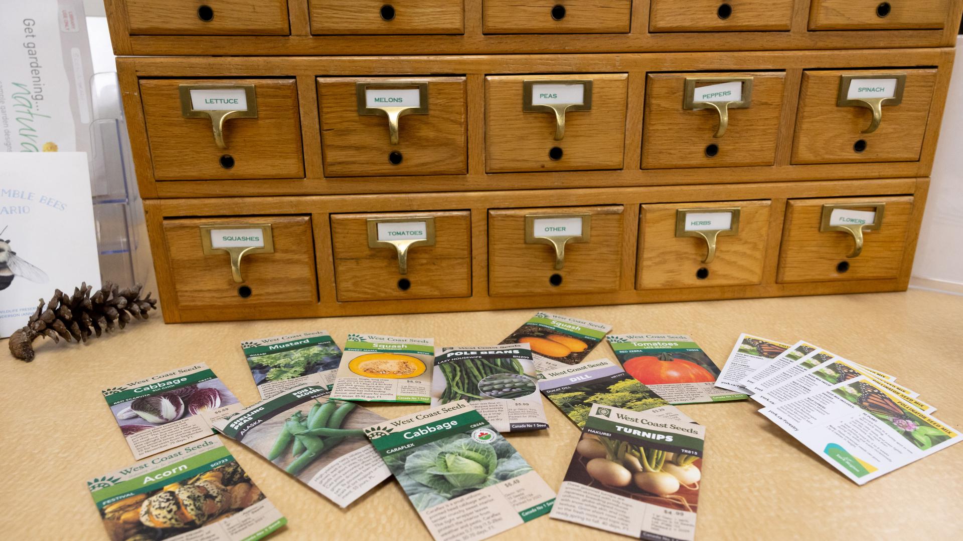 Seed packets spread on a table in front of a wooden card catalog.