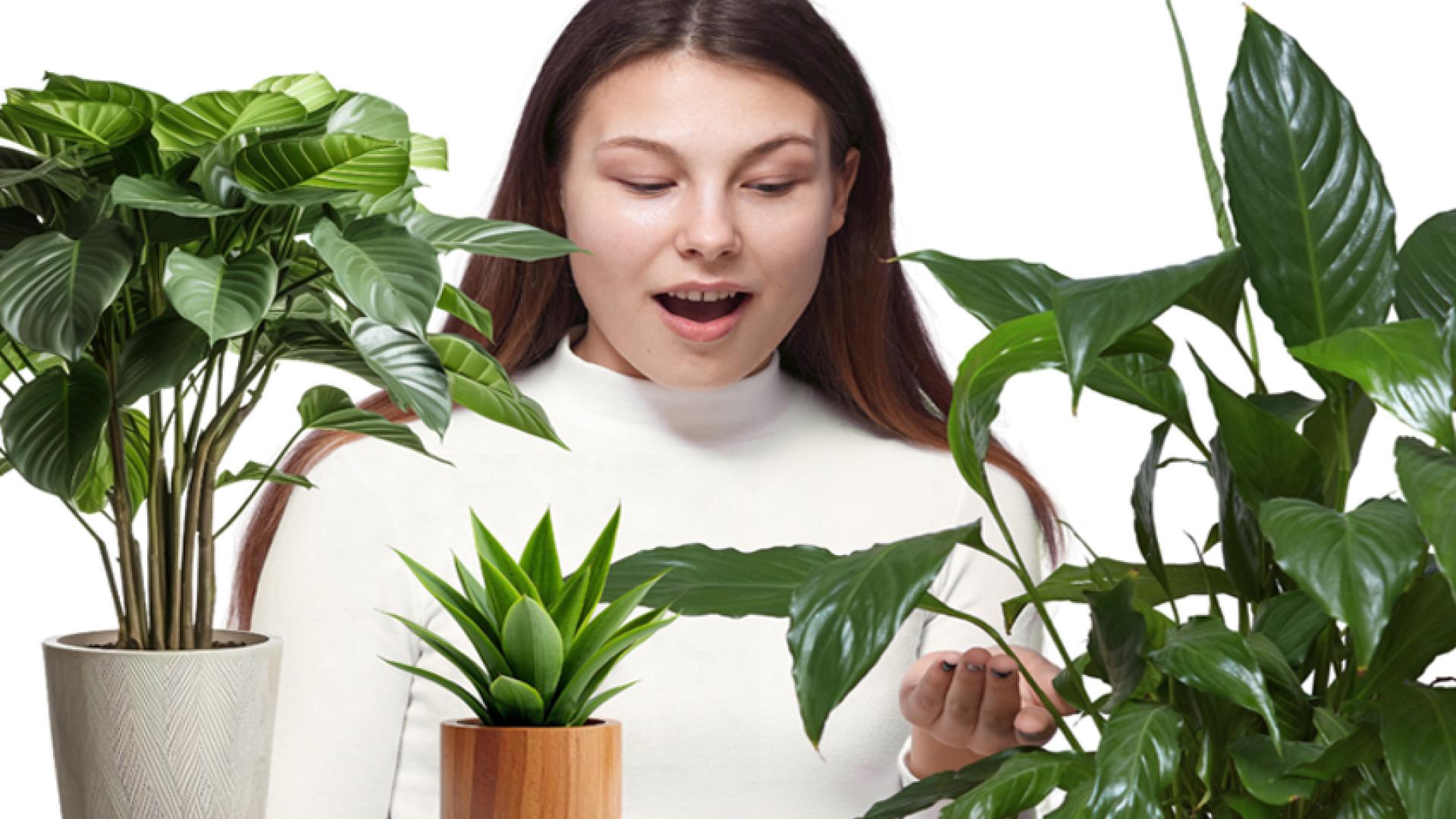 woman surrounded by plants