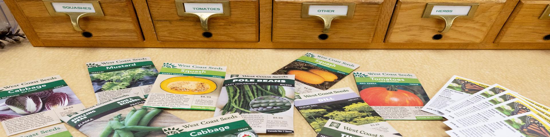 Packages of seeds in front of the Seed Library