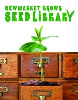 Plant in a library card catalogue with the Newmarket Grows Seed Library logo